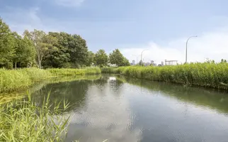 De Hoog 6, HENDRIK-IDO-AMBACHT