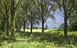 P.C. Hooftsingel 58, HENDRIK-IDO-AMBACHT