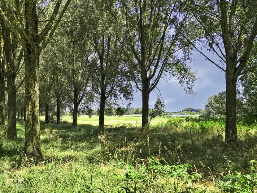 P.C. Hooftsingel 58, HENDRIK-IDO-AMBACHT