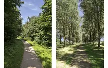 P.C. Hooftsingel 58, HENDRIK-IDO-AMBACHT