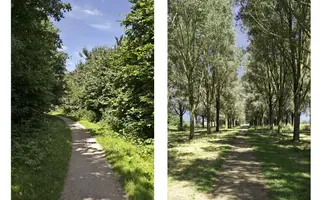 P.C. Hooftsingel 58, HENDRIK-IDO-AMBACHT