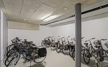 Burgemeester Brouwerstraat 117, ZWIJNDRECHT