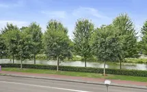 Burgemeester Brouwerstraat 117, ZWIJNDRECHT