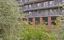 Burgemeester Brouwerstraat 117, ZWIJNDRECHT