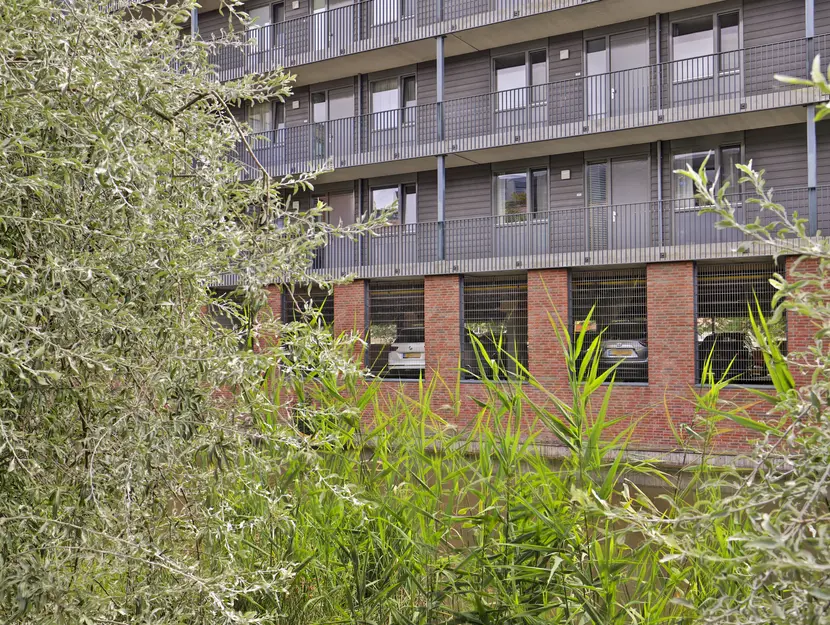 Burgemeester Brouwerstraat 117, ZWIJNDRECHT