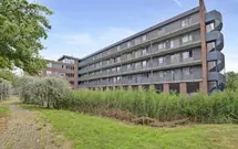 Burgemeester Brouwerstraat 117, ZWIJNDRECHT