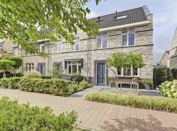 Aalscholver 16