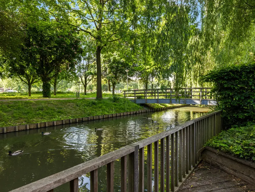 Suite 18, ZWIJNDRECHT