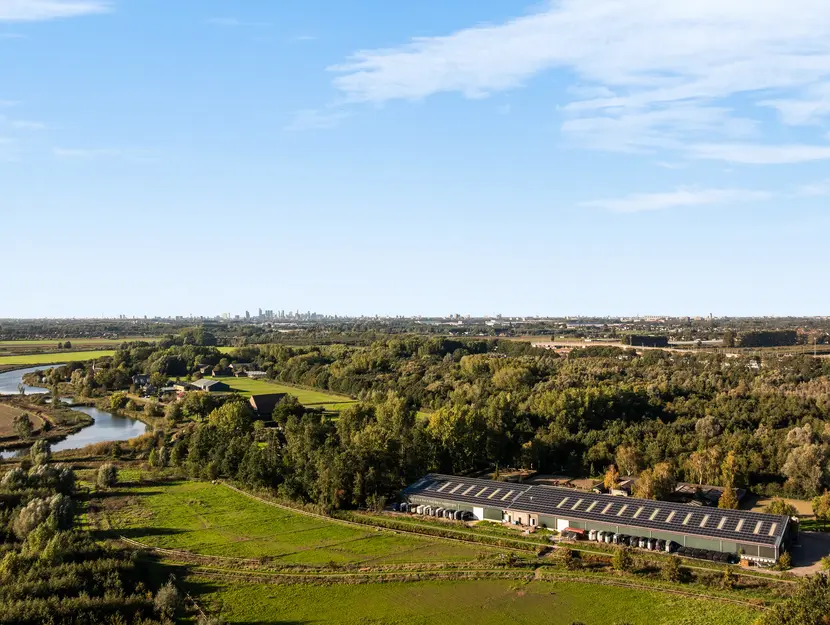 Abdij 40, Zwijndrecht