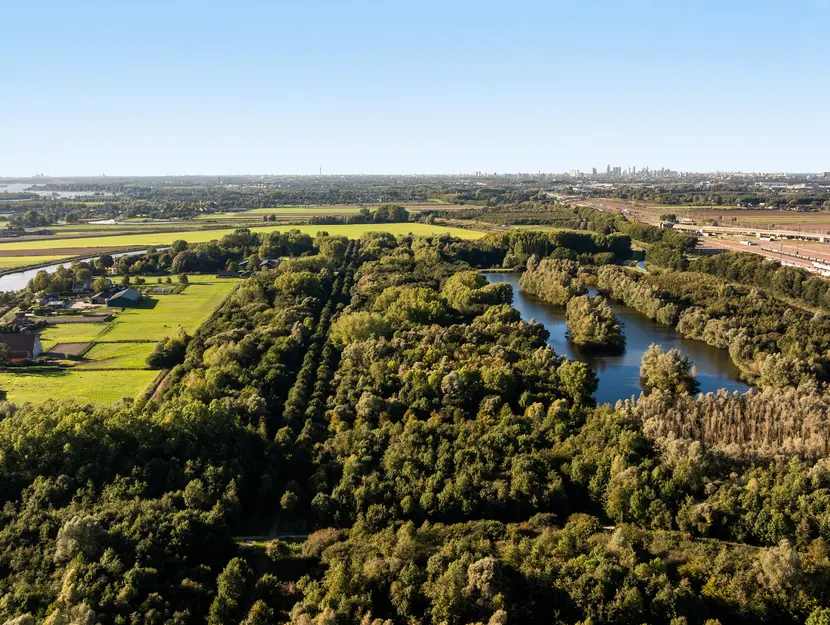 Abdij 40, Zwijndrecht