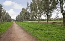 Schultz van Haegenstraat 18, HENDRIK-IDO-AMBACHT