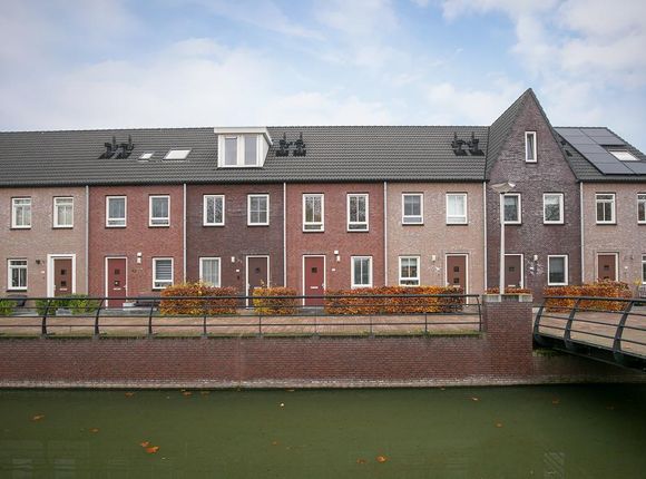 Steur 166