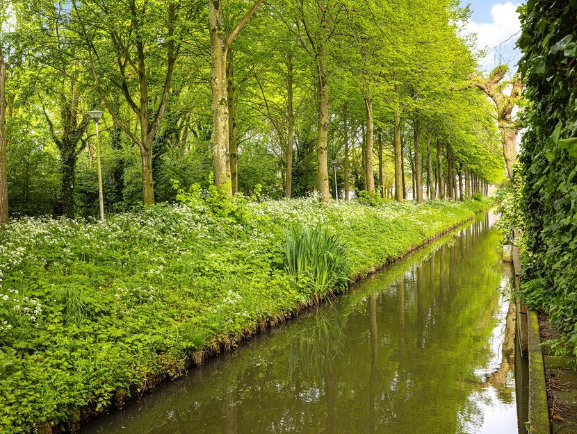 Leklaan 50, RIDDERKERK