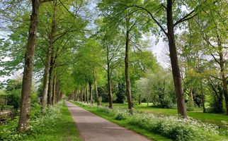 Leklaan 50, RIDDERKERK