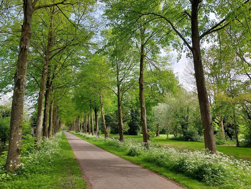 Leklaan 50, RIDDERKERK