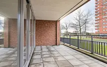 Zalm 154, HENDRIK-IDO-AMBACHT
