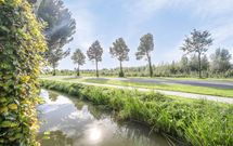 Koekoeksbloem 6, HEERJANSDAM