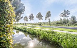 Koekoeksbloem 6, HEERJANSDAM