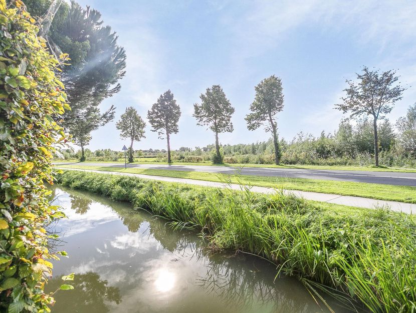 Koekoeksbloem 6, HEERJANSDAM