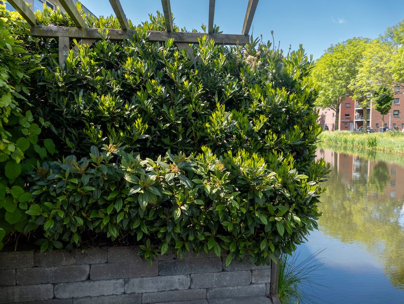 Boegspriet 37, PAPENDRECHT
