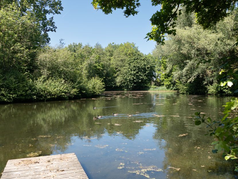 Boegspriet 37, PAPENDRECHT