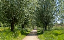 Boegspriet 37, PAPENDRECHT