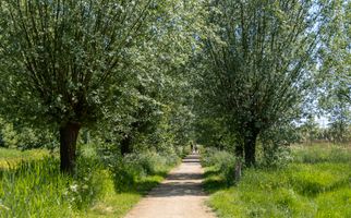 Boegspriet 37, PAPENDRECHT
