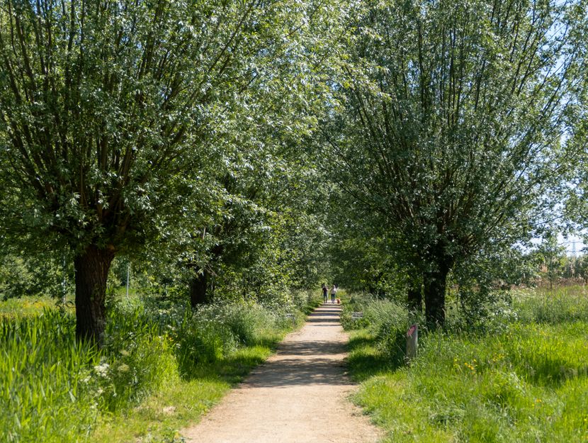 Boegspriet 37, PAPENDRECHT