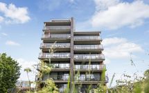 Tolhuis 29, ZWIJNDRECHT