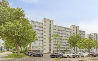 Pruylenborg 125, ZWIJNDRECHT