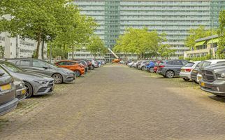 Pruylenborg 125, ZWIJNDRECHT