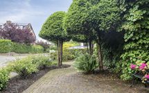Paltrokmolen 1, PAPENDRECHT