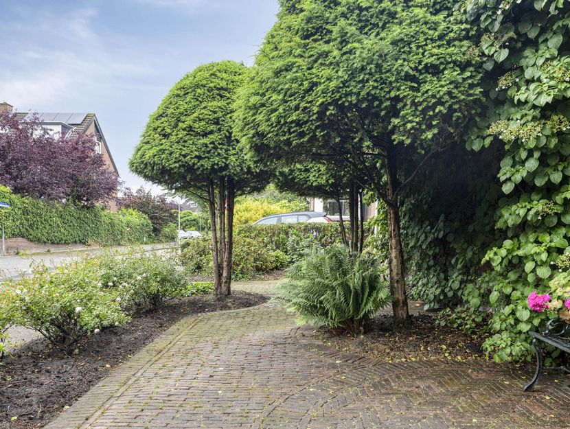 Paltrokmolen 1, PAPENDRECHT