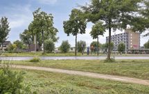 Paltrokmolen 1, PAPENDRECHT