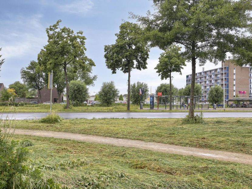 Paltrokmolen 1, PAPENDRECHT