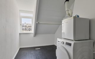 Bosch 24, ZWIJNDRECHT