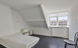 Bosch 24, ZWIJNDRECHT