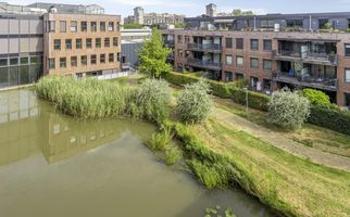 Burgemeester Brouwerstraat 143, ZWIJNDRECHT