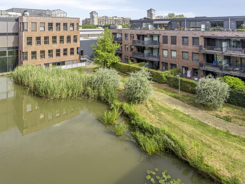 Burgemeester Brouwerstraat 143, ZWIJNDRECHT