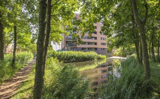 Akkerviool 79, HENDRIK-IDO-AMBACHT