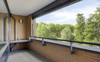 Akkerviool 79, HENDRIK-IDO-AMBACHT
