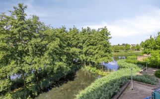 Akkerviool 79, HENDRIK-IDO-AMBACHT
