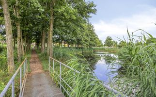 Akkerviool 79, HENDRIK-IDO-AMBACHT