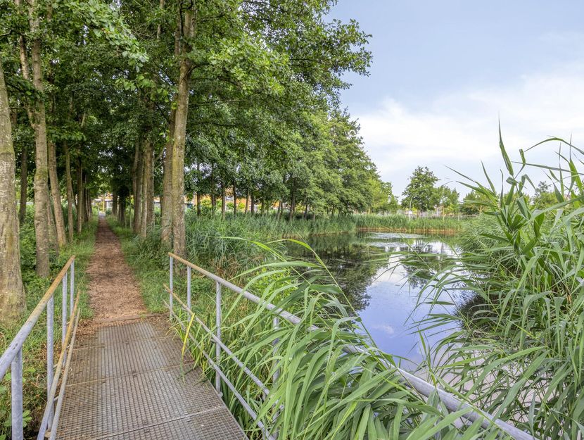 Akkerviool 79, HENDRIK-IDO-AMBACHT
