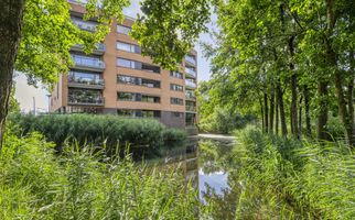 Akkerviool 79, HENDRIK-IDO-AMBACHT