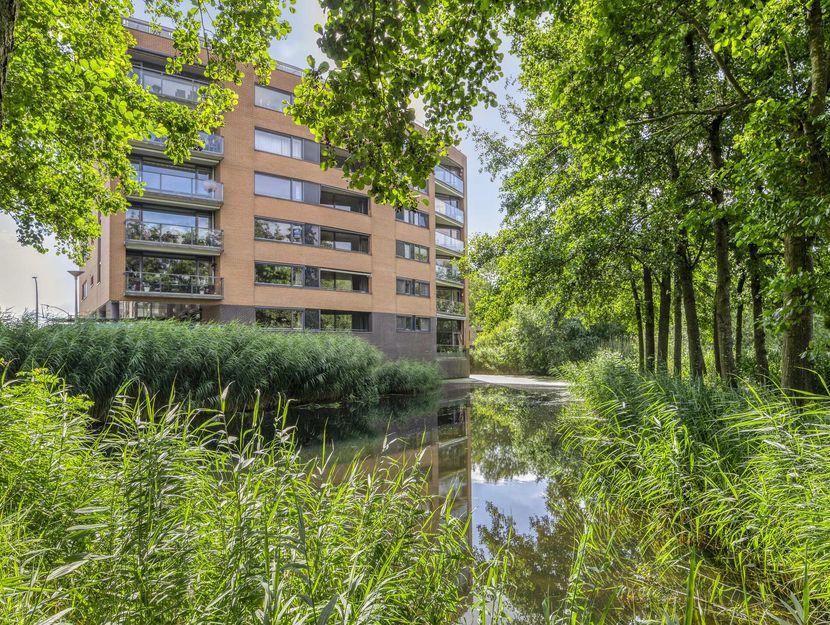 Akkerviool 79, HENDRIK-IDO-AMBACHT