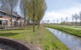 Boterbloem 3, HEERJANSDAM