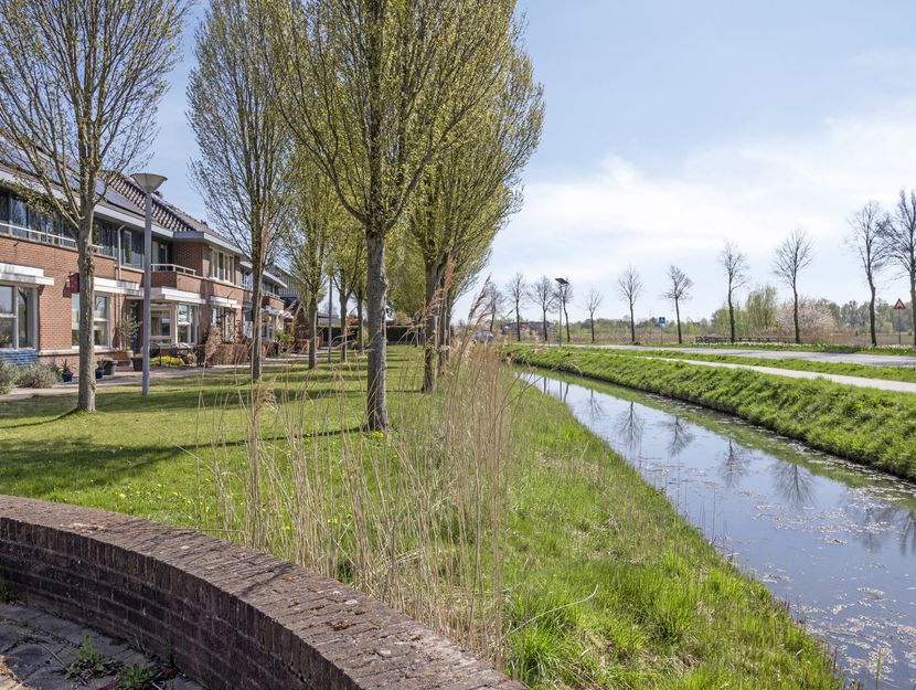 Boterbloem 3, HEERJANSDAM