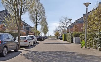 Boterbloem 3, HEERJANSDAM