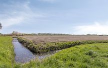 Boterbloem 3, HEERJANSDAM